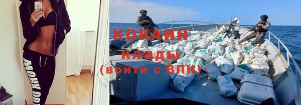 молекула духа Протвино