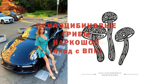 молекула духа Протвино