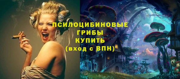спиды Покачи