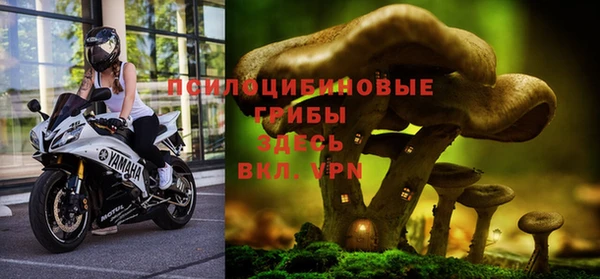 герыч Покровск