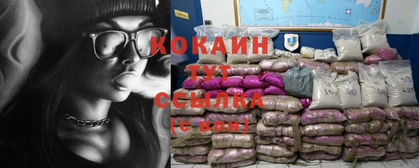спиды Покачи